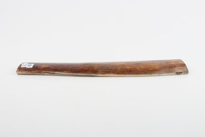 Caramel-brown mammoth bark