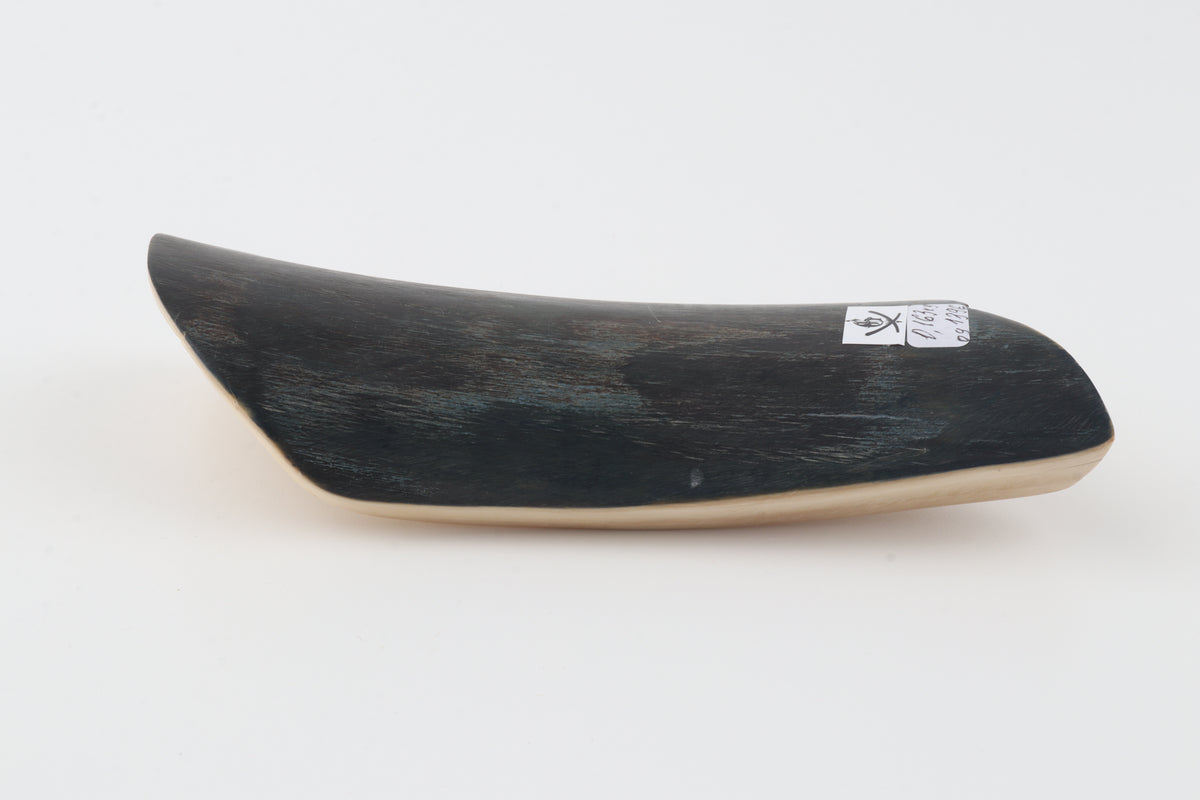 Brown-black mammoth bark