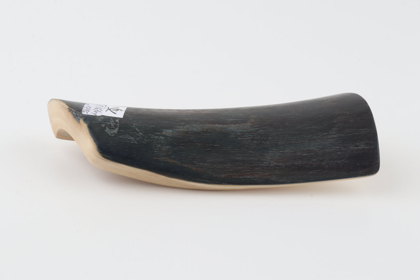 Brown-black mammoth bark