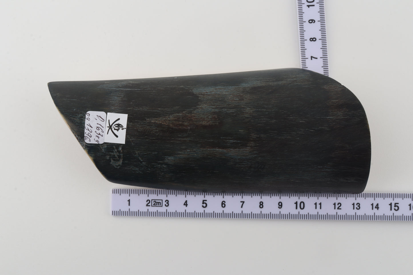Brown-black mammoth bark