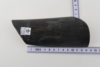 Brown-black mammoth bark