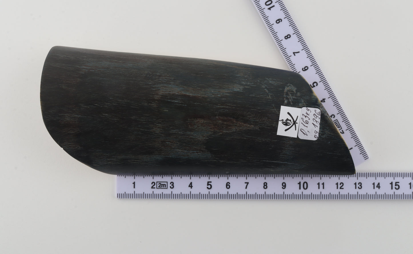 Brown-black mammoth bark