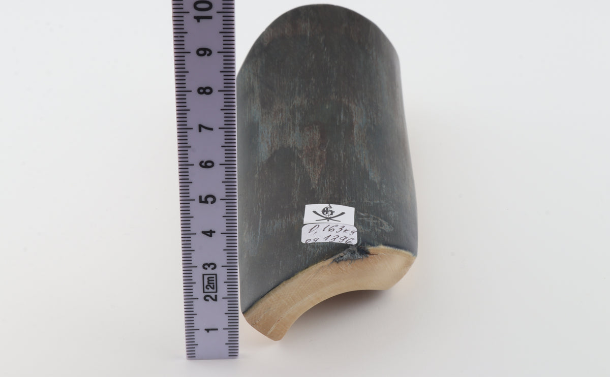 Brown-black mammoth bark