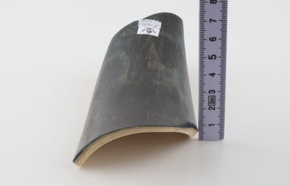 Brown-black mammoth bark