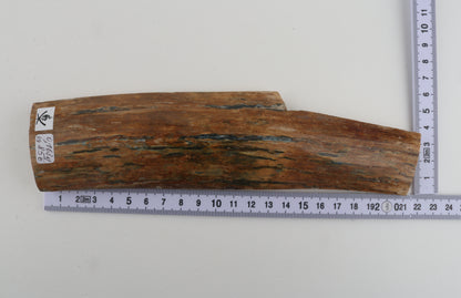 Multicoloured mammoth bark