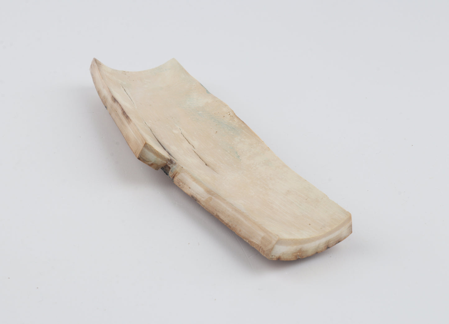 Multicoloured mammoth bark