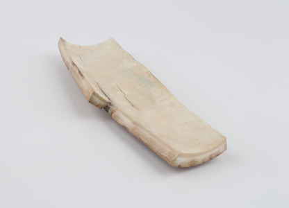 Multicoloured mammoth bark