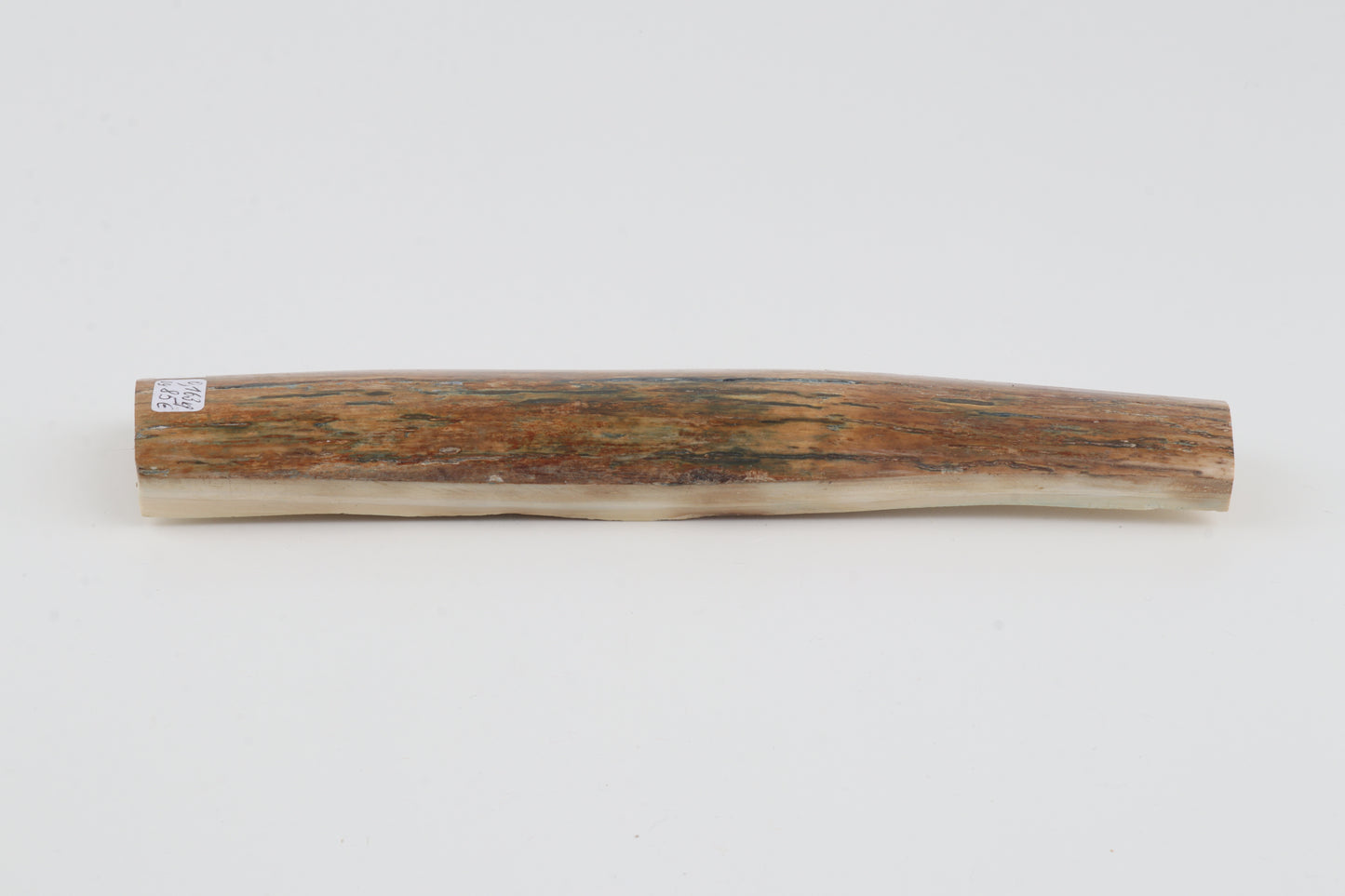 Multicoloured mammoth bark