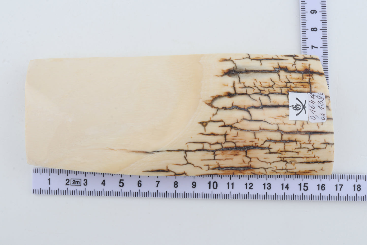 White mammoth ivory piece