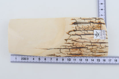 White mammoth ivory piece