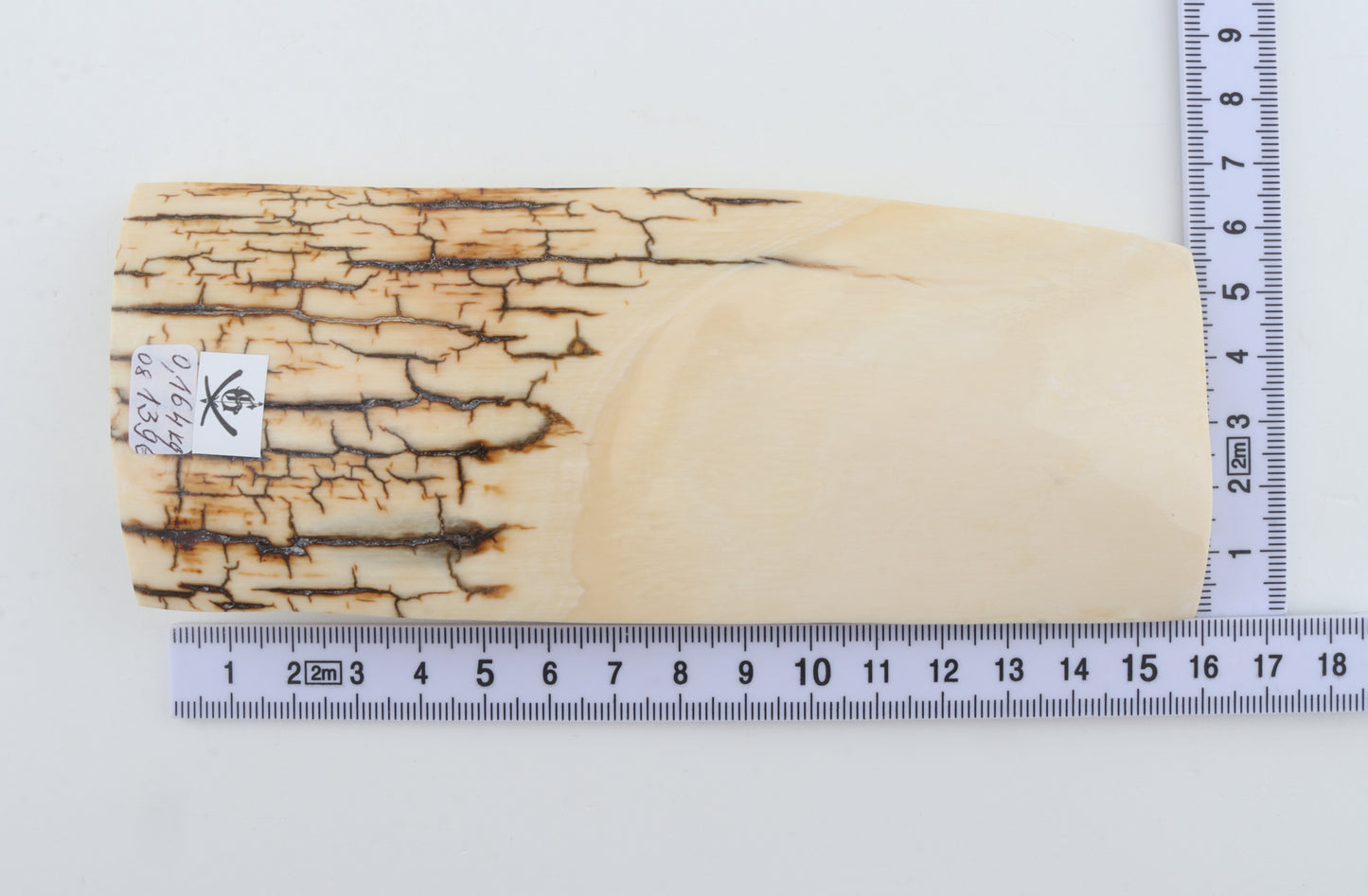 White mammoth ivory piece