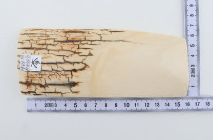 White mammoth ivory piece