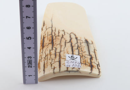 White mammoth ivory piece