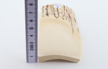 White mammoth ivory piece