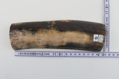 Natural mammoth bark
