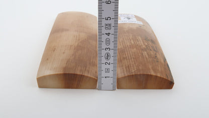 Stabilized mammoth bark scales