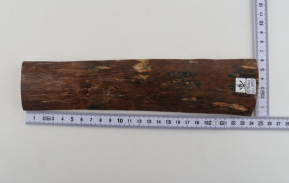 Brown-blue mammoth bark
