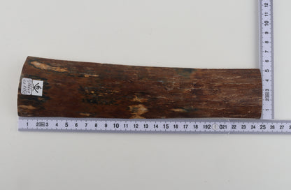Brown-blue mammoth bark