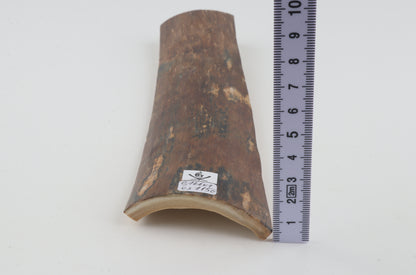 Brown-blue mammoth bark