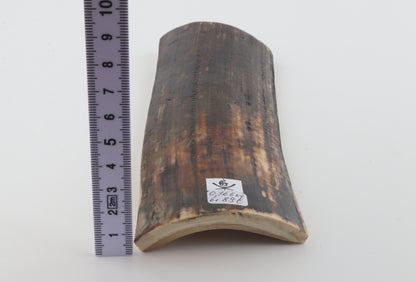 Brown mammoth bark