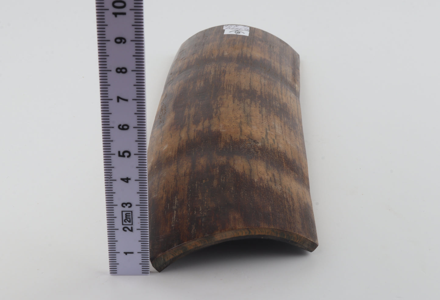 Brown-mustard mammoth bark