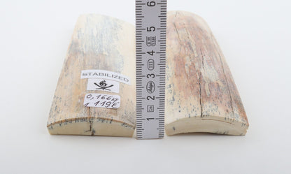 Stabilised mammoth bark scales