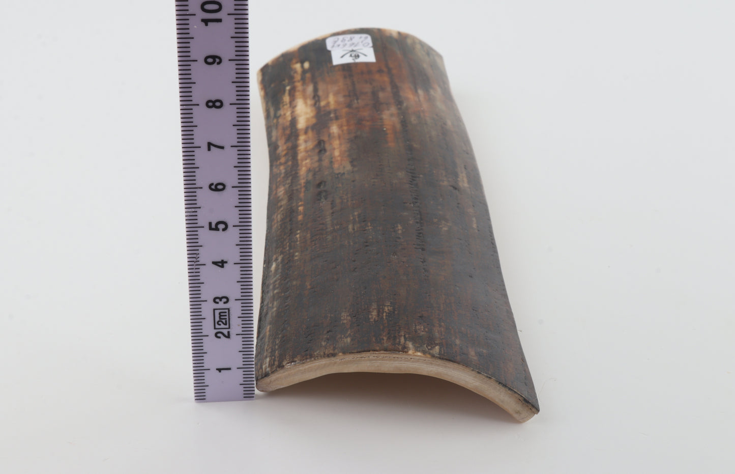 Brown mammoth bark