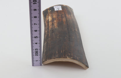 Brown mammoth bark