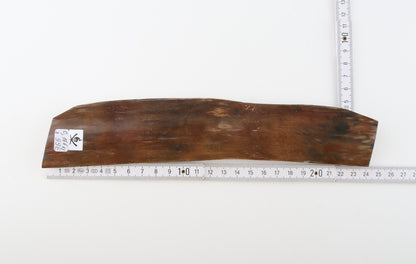 Brown mammoth bark