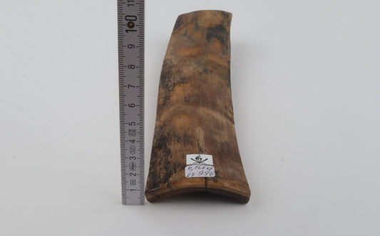 Beige mammoth bark