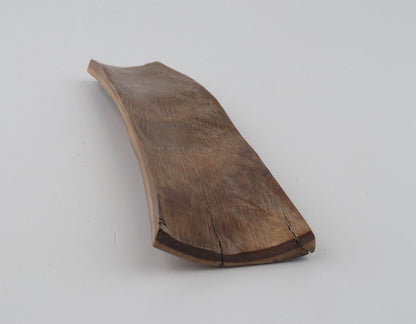 Beige mammoth bark