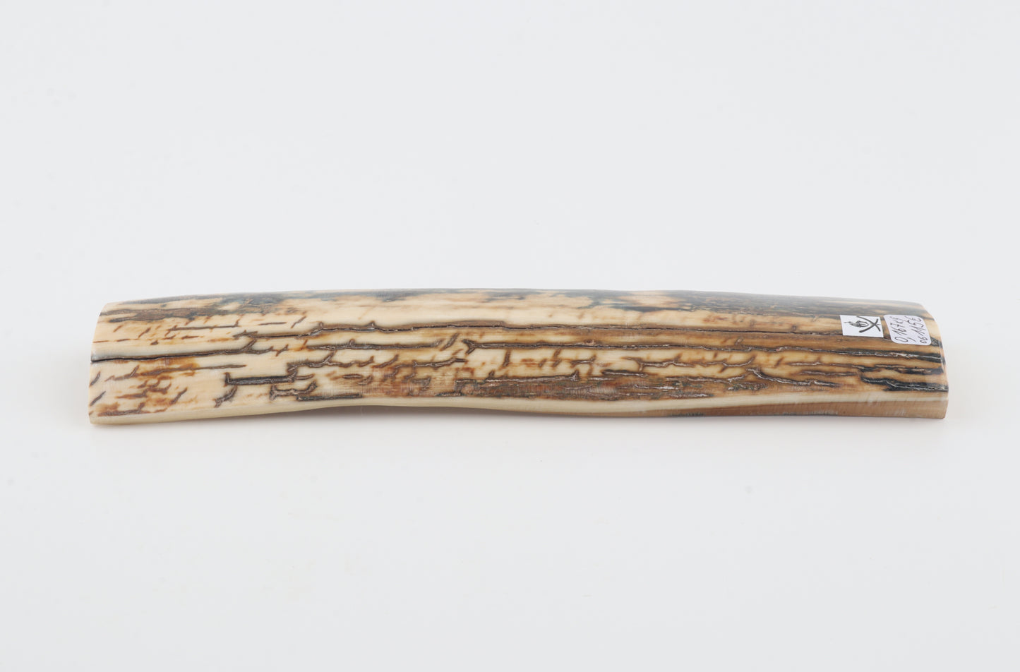 Blue-orange mammoth bark