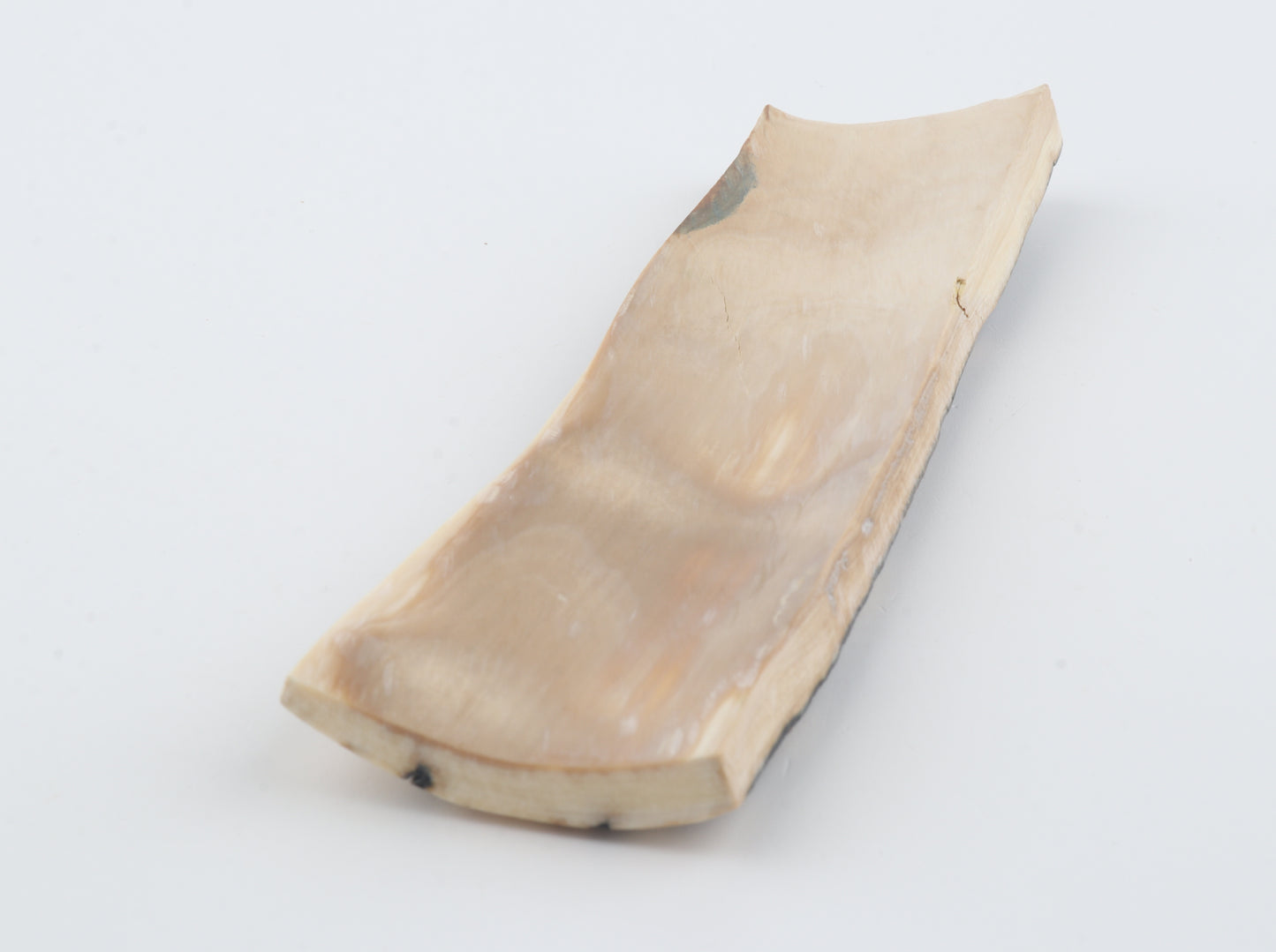 Blue-orange mammoth bark
