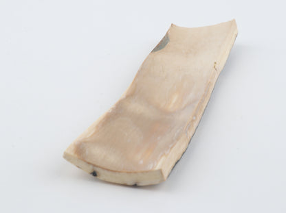 Blue-orange mammoth bark