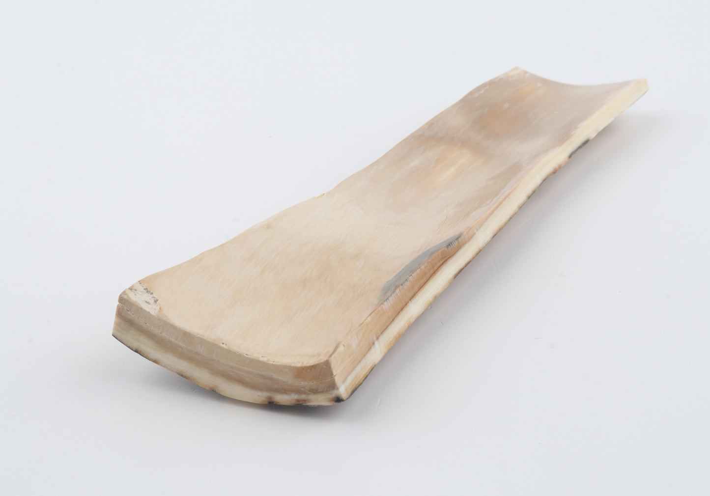 Blue-orange mammoth bark