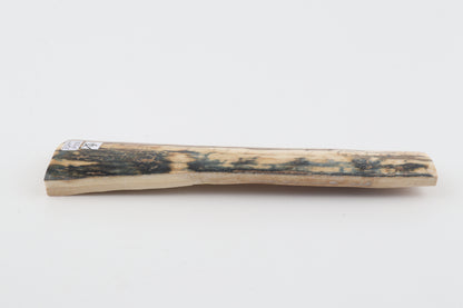 Blue-orange mammoth bark