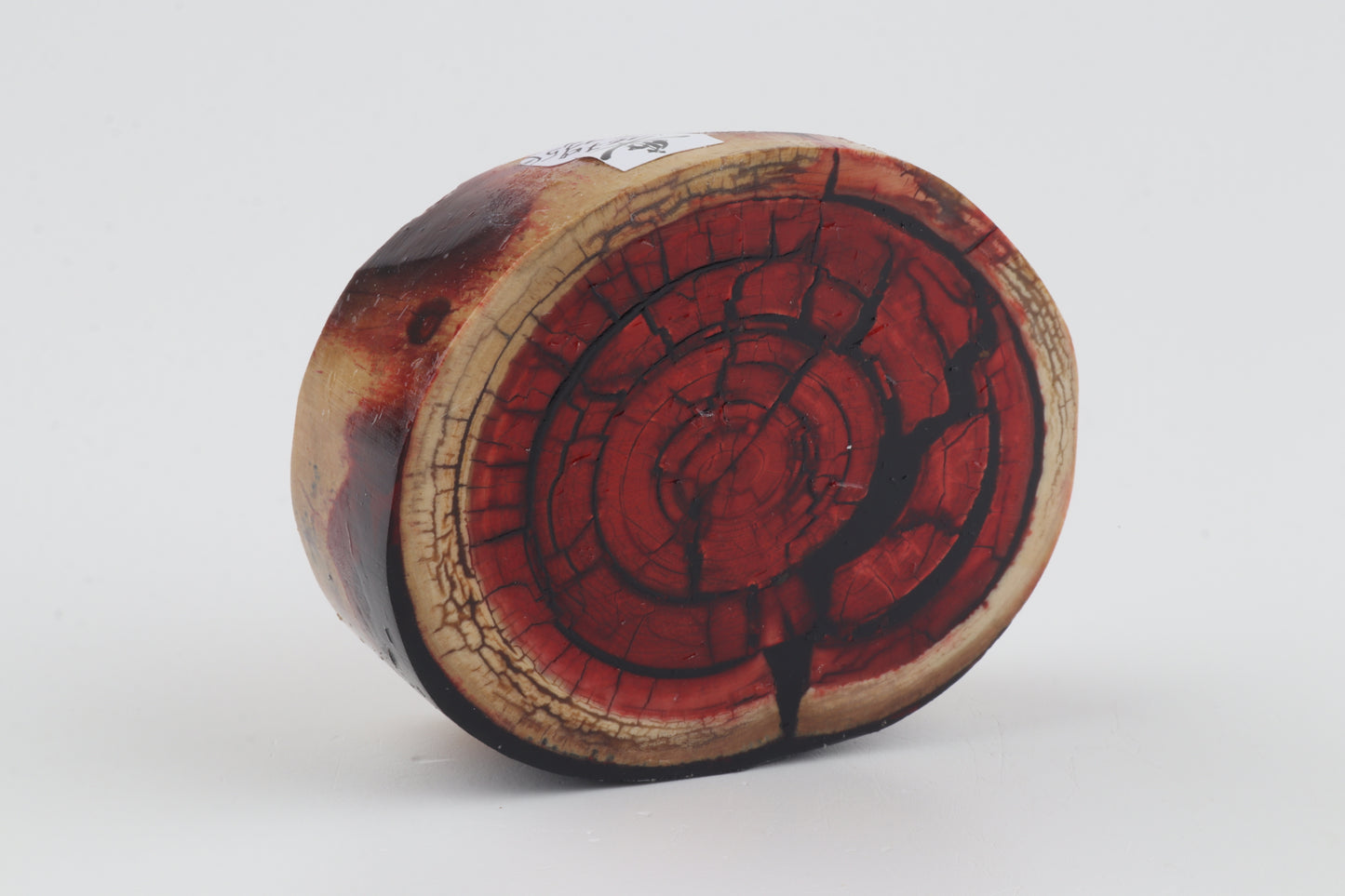 Stabilized mammoth ivory block