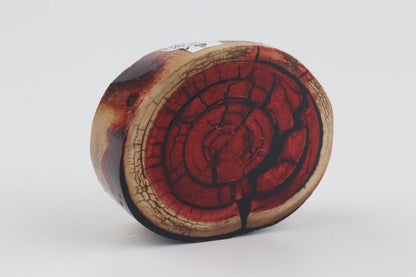 Stabilized mammoth ivory block