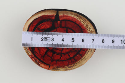 Stabilized mammoth ivory block