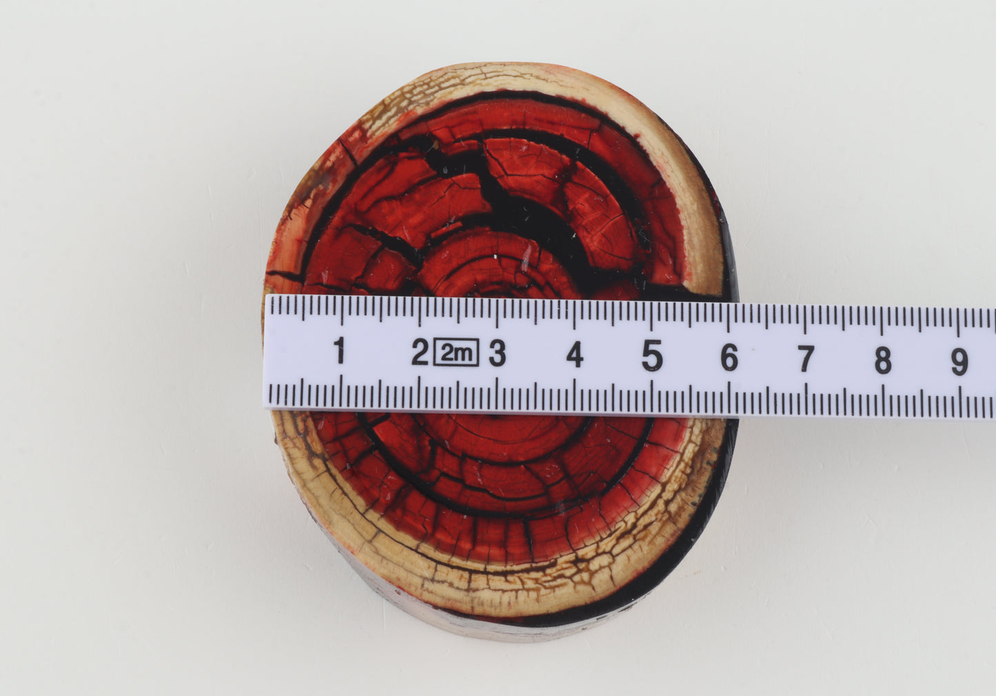 Stabilized mammoth ivory block