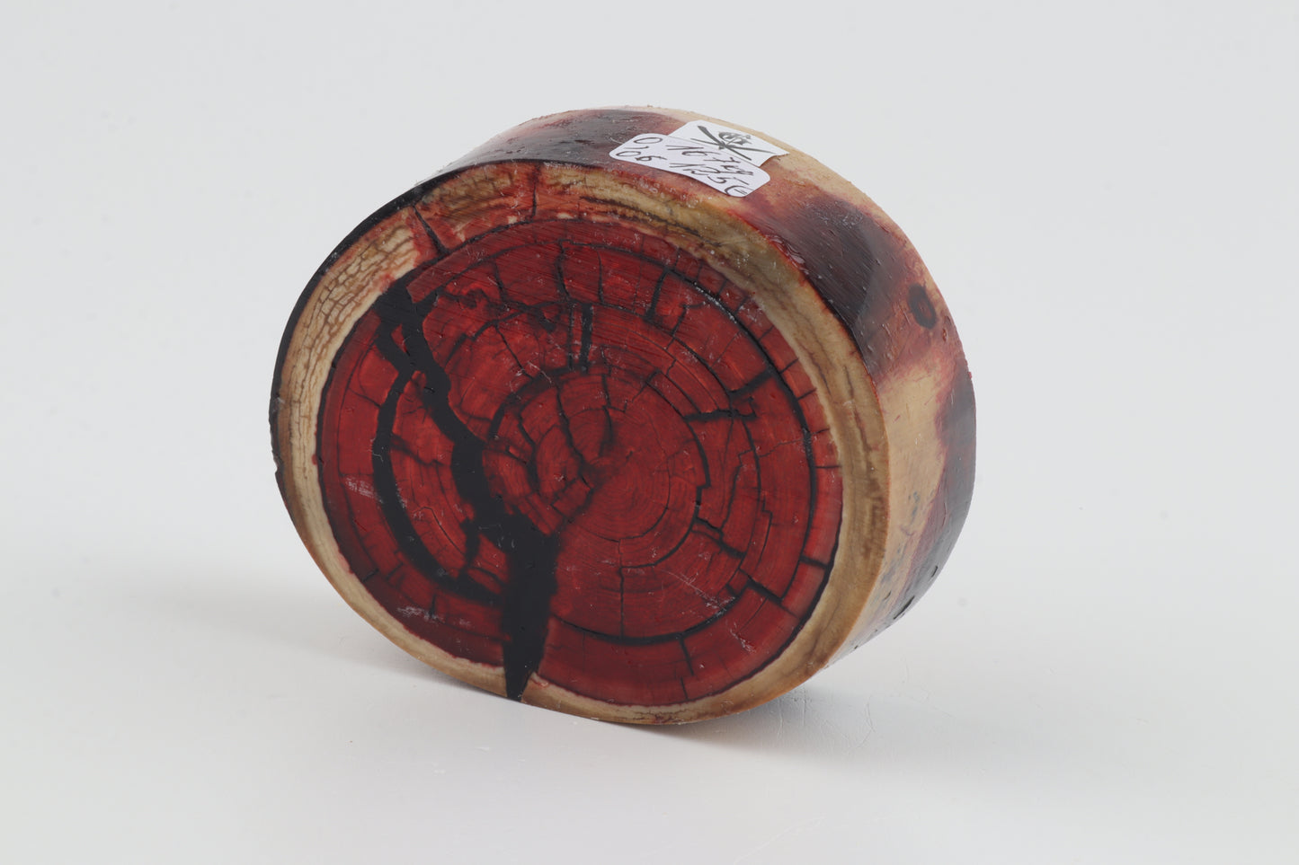 Stabilized mammoth ivory block