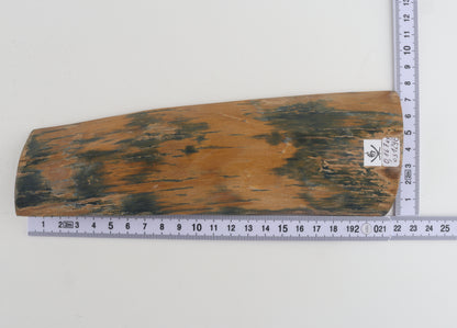 Mustard-blue mammoth bark
