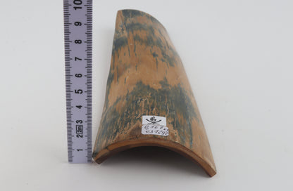 Mustard-blue mammoth bark