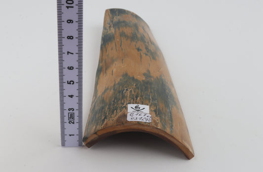 Mustard-blue mammoth bark