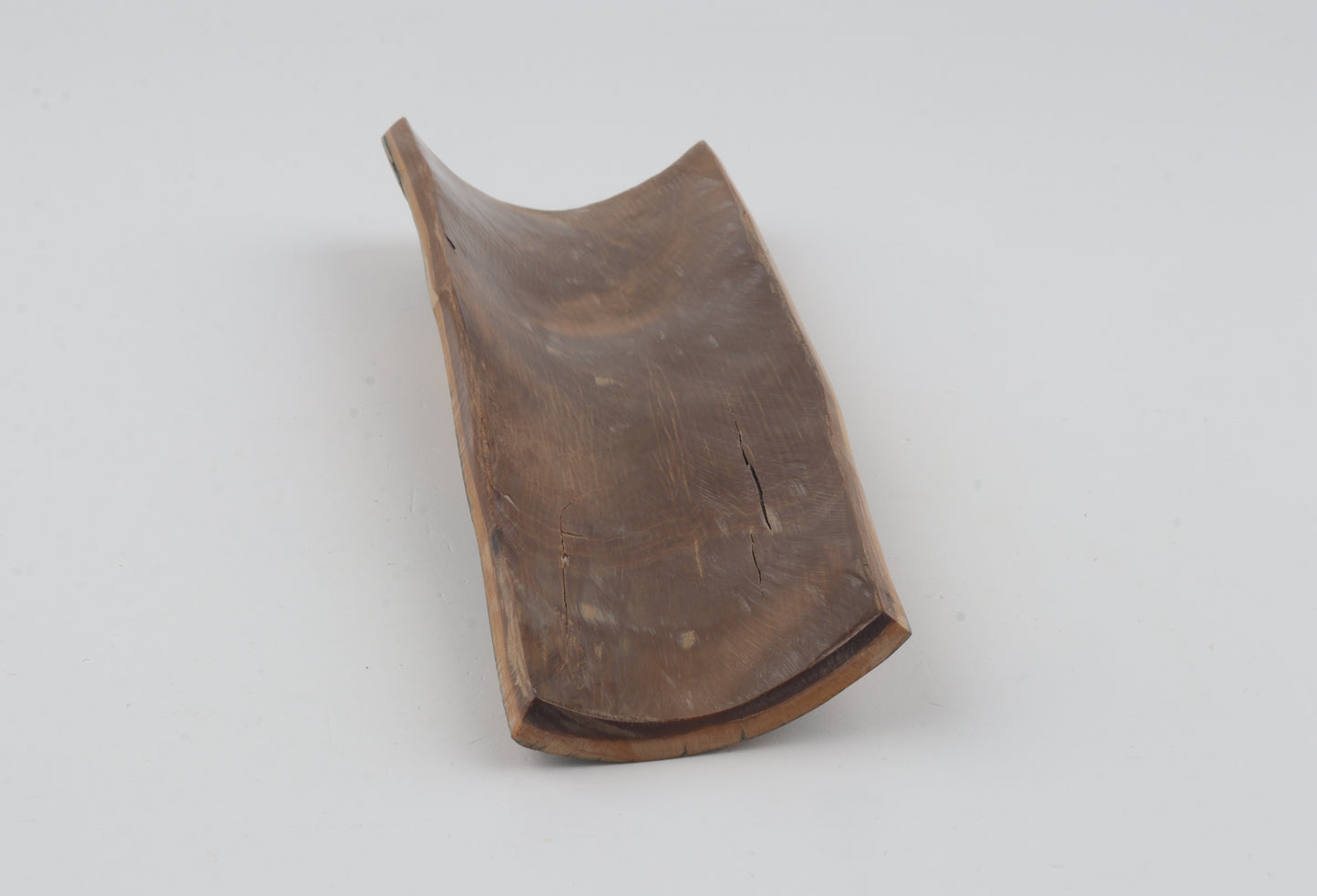Mustard-blue mammoth bark
