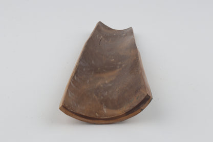 Mustard-blue mammoth bark