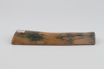 Mustard-blue mammoth bark