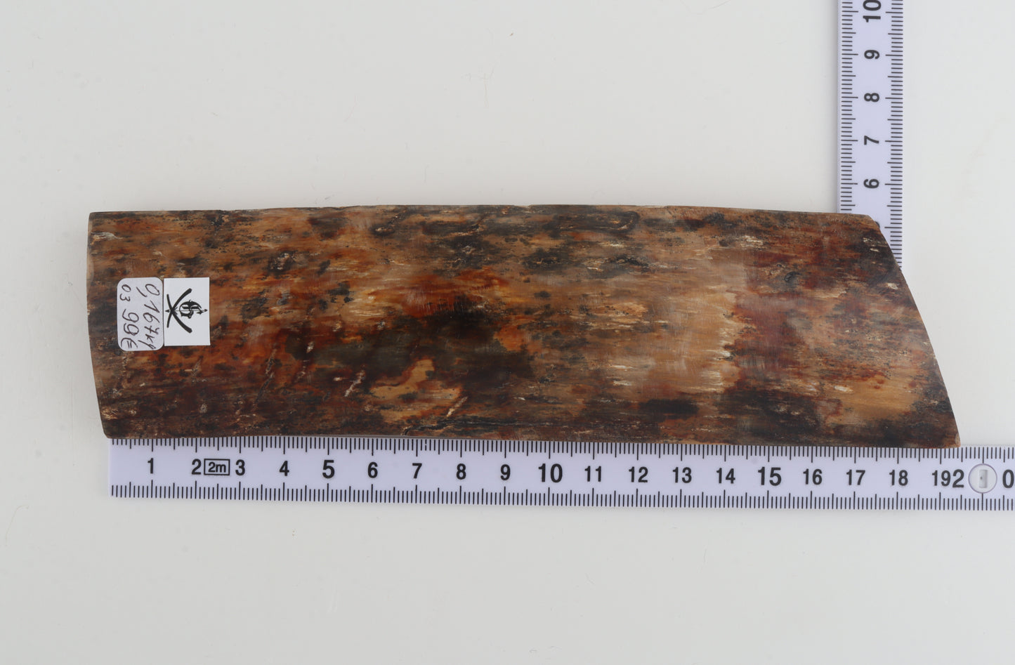 Natural mammoth bark