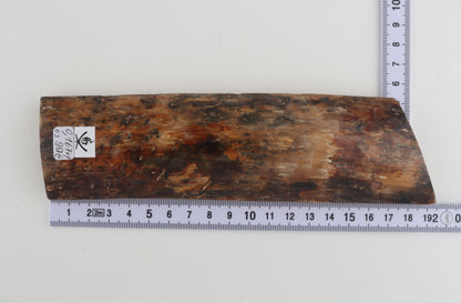 Natural mammoth bark