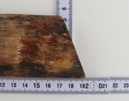 Natural mammoth bark